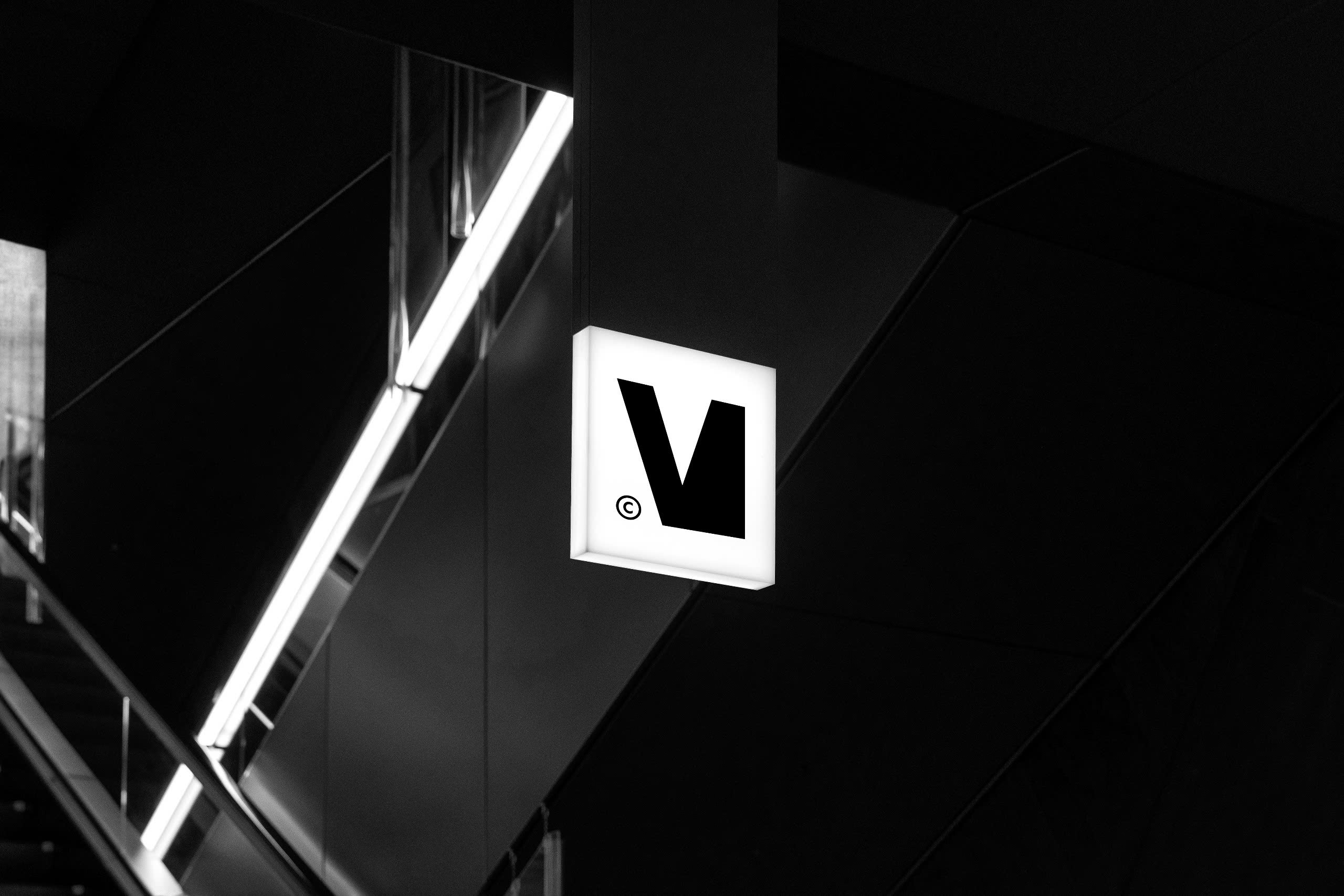Website Development